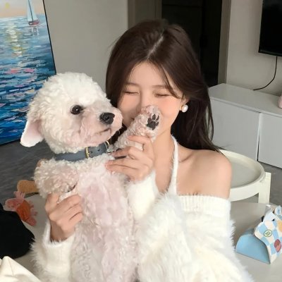 不吉波普不笑