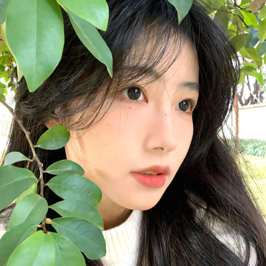 非洲之王